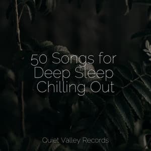 50 Songs for Deep Sleep Chilling Out - Rain Sounds Nature Collection