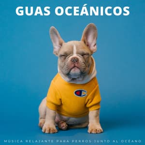 Guas Oceánicos: Música Relajante Para Perros Junto Al Océano - Musicoterapia Océano