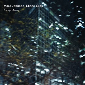 Swept Away - Marc Johnson