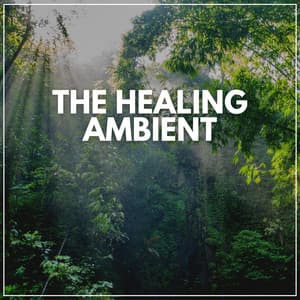 The Healing Ambient - Self Care Meditation