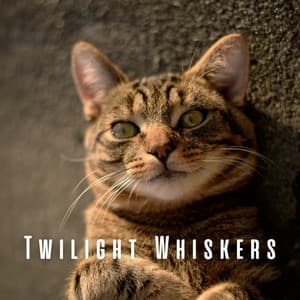 Twilight Whiskers: Cats and Chill Music Bliss - Bliss Looper