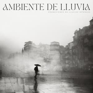 Ambiente De Lluvia: Grabaciones De Lluvias Intensas - Sonidos De Lluvia
