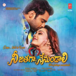 Nee Jathaga Nenundaali - Mithoon