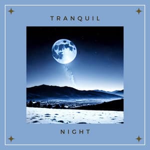 Tranquil Night: Lullabies for Deep Sleep and Relaxation - Stillness Midnight