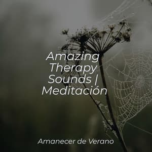 Amazing Therapy Sounds | Meditación - Ambiente
