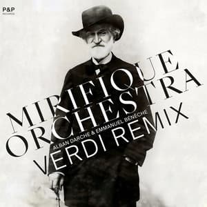 Verdi Remix - Alban Darche