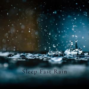 Sleep Fast Rain - XLX Library