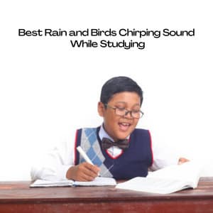Best Rain and Birds Chirping Sound While Studying - Nature Therapy