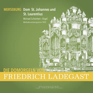 Die Domorgeln von Friedrich Ladegast - Britta Schwarz