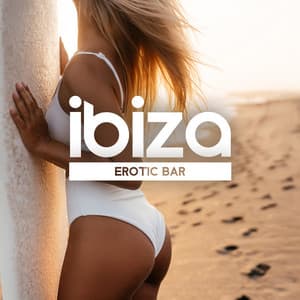 Ibiza Erotic Bar: Lounge Chill House Party Music - DJ Chill 69
