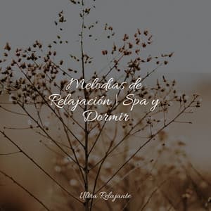 Melodías de Relajación | Spa y Dormir - Cascada de Lluvia