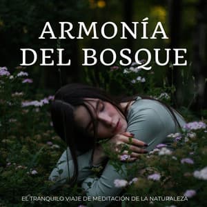 Armonía Del Bosque: El Tranquilo Viaje De Meditación De La Naturaleza - Jardín del tiempo