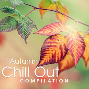Autumn Chill Out Compilation – New Beats, Chill Out Music, Electronic Vibes, Relax - Summer Experience Music Set