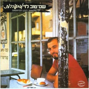 התעוררות - Shem-Tov Levy