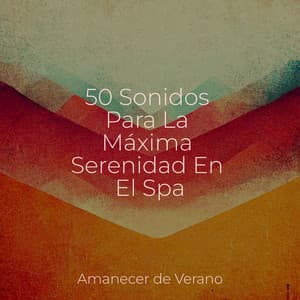 50 Sonidos Para La Máxima Serenidad En El Spa - Chillout Lounge