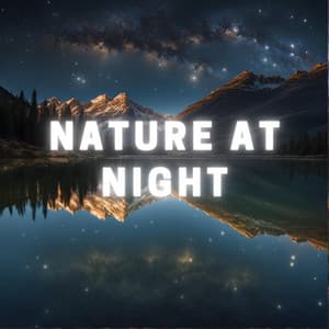 Nature at Night - Alpha Vectoriam