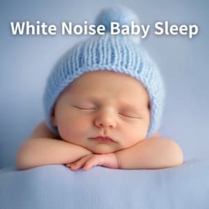 Infant Sleep Solutions Best Loopable White Noise - White Noise Baby Sleep