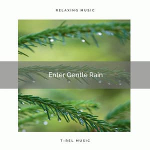 1 Enter Gentle Rain - Deep Rain Sampling