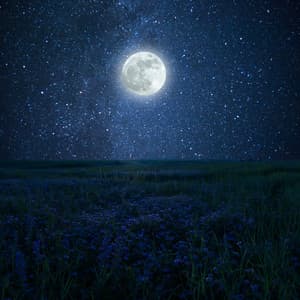 Moonlit Meadows: Ethereal Nature Nocturnes - Ethereal Moments