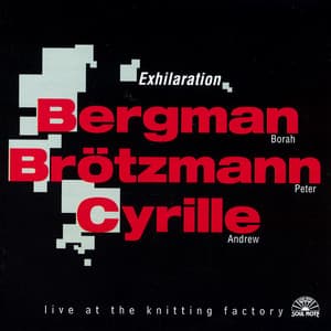 Exhilaration - Borah Bergman
