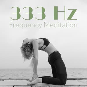 333 Hz Energy Fields Mental Stillness - Lucas Younger