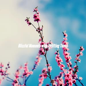 Blissful Moments with Uplifting Tunes - Jazz Ligera para Hoteles