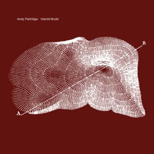 Through The Hill - Andy Partridge
