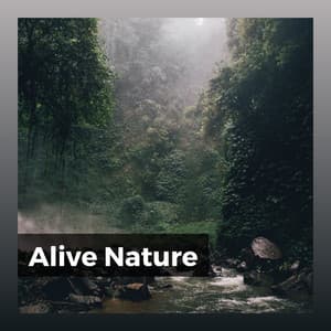 Alive Nature - Binaural Landscapes
