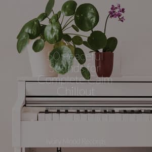 50 Peaceful Sounds for Complete Calm Chillout - Ivory Mood