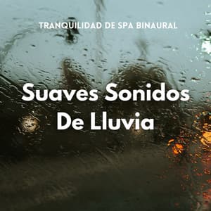 Tranquilidad De Spa Binaural Con Suaves Sonidos De Lluvia - Curación Binaural