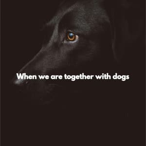 When we are together with dogs - Saturday Morning Jazz Playlist