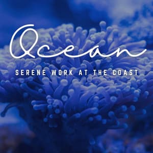 Calm by the Coast: Work by the Ocean - Sounds Of The Ocean