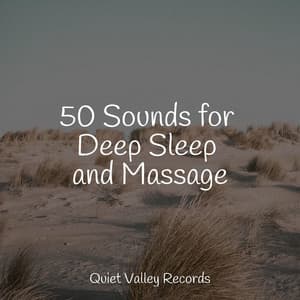 50 Sounds for Deep Sleep and Massage - Sonidos de lluvia para dormir
