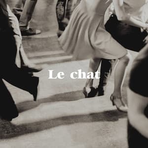 Le chat - 50 Tubes Du Top