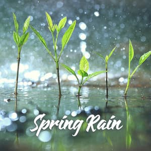Spring Rain: Meditation for Regeneration & New Energy - Sounds Effects Academy