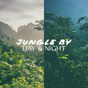Jungle by Day & Night: Tropical Jungle Ambience - Harmony Nature Sounds Academy