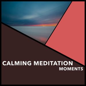 Calming Meditation Moments - Reiki Collective