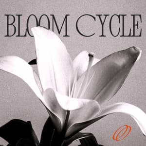 Bloom Cycle: A Jazz Reflection - Easy Jazz Instrumentals Academy