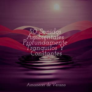 50 Sonidos Ambientales Profundamente Tranquilos Y Constantes - Relaxing Spa Music