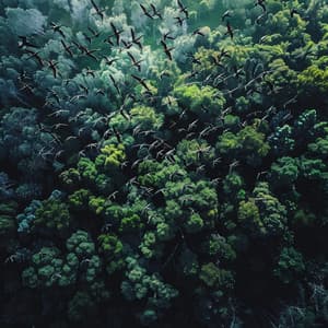 Mente Quieta: Tonos Relajantes Para La Concentración Clara - Música para Concentrarse Proyecto