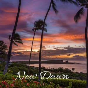 New Dawn - Masala Roo