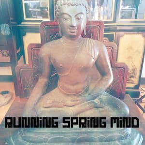 Running Spring Mind - Meditación Interna