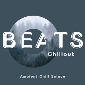 Ambient Chill Solace: Peaceful Beats for Soulful Calm - Beats Chillout