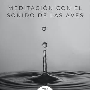 Meditación Con El Sonido De Las Aves Vol. 1 - Pájaro Petirrojo