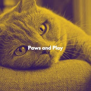 Paws and Play - Cat Music Vibes