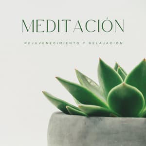 Meditación: Rejuvenecimiento y Relajación - Meditación Con Ruido Blanco