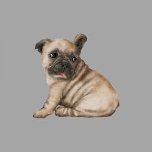 Easy Tenor Sax Jazz - Ambiance for A Sleepy Hound - Calming Jazz For Dogs