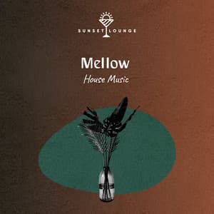 Mellow House Music - Palm Analogue