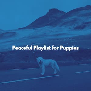 Peaceful Playlist for Puppies - Musica para Hoteles De Lujo