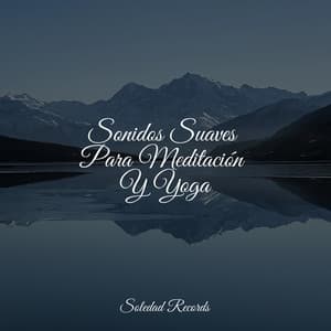 Sonidos Suaves Para Meditación Y Yoga - Zona Música Relaxante